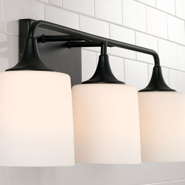Willa Arlo Interiors Pudsey 3 Light Dimmable Vanity Light & Reviews